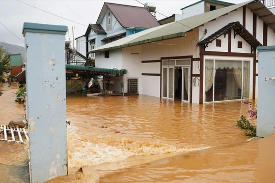 Thủ tướng họp khẩn từ Algeria, giải ngân 700 tỷ đồng trong đêm cứu trợ 4 tỉnh vùng lũ