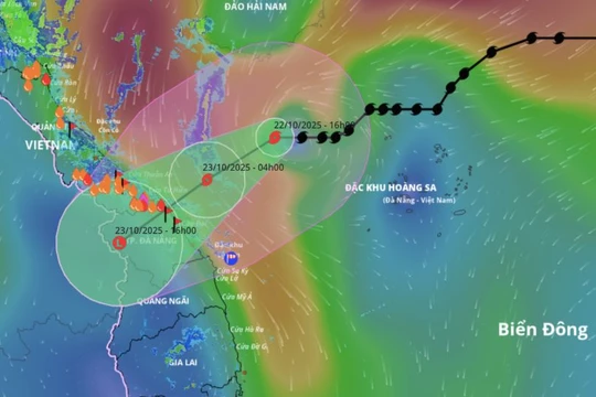 Thủ tướng: Tập trung ứng phó bão số 12 và mưa lũ lớn ở Trung Trung Bộ