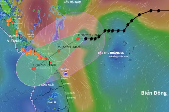 Thủ tướng: Tập trung ứng phó bão số 12 và mưa lũ lớn ở Trung Trung Bộ