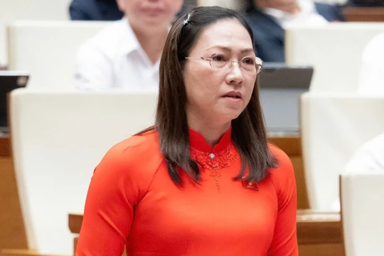 Đại biểu Quốc hội đề nghị luật hóa Công ước Hà Nội càng sớm càng tốt