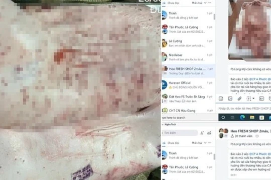 Vụ tố bán thịt heo bệnh ra thị trường: Công ty C.P. Việt Nam nói gì?