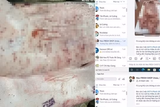 Vụ tố bán thịt heo bệnh ra thị trường: Công ty C.P. Việt Nam nói gì?