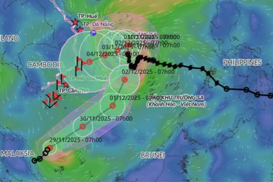 Bão số 15 bất ngờ đổi hướng, áp thấp nhiệt đới xuất hiện trên biển Đông 