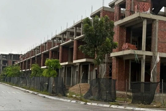 Ảnh: Báo Tiền Phong.