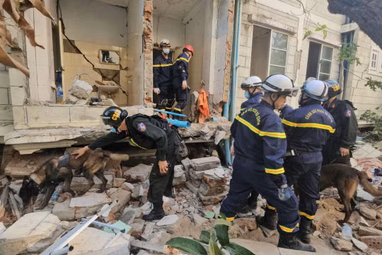 Xem bộ đôi cảnh khuyển của đoàn cứu hộ Việt Nam tìm nạn nhân mắc kẹt ở Myanmar 