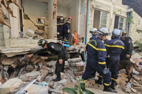 Xem bộ đôi cảnh khuyển của đoàn cứu hộ Việt Nam tìm nạn nhân mắc kẹt ở Myanmar 