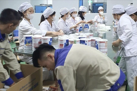 Vụ 573 nhãn hiệu sữa giả: Ông chủ đường dây "chạy án" 150.000 USD, gặp phải kẻ lừa đảo