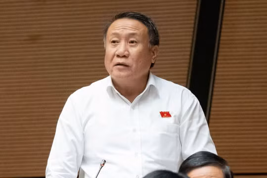 Đại biểu Quốc hội nêu băn khoăn về quy định ghế an toàn cho trẻ em trên ô tô