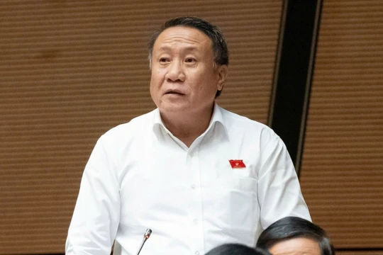 Đại biểu Quốc hội nêu băn khoăn về quy định ghế an toàn cho trẻ em trên ô tô