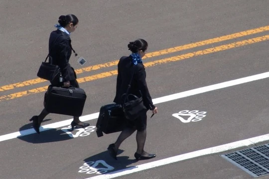 Tiếp viên hàng không là người nắm chắc các thủ thuật để bạn có một chuyến bay tuyệt vời (Ảnh Business Insider)