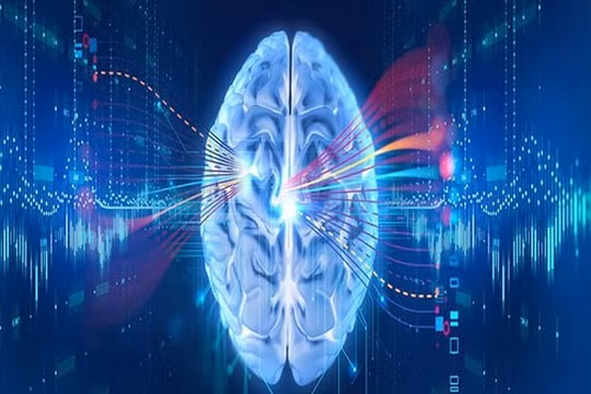 Công nghệ sẽ giúp não người trở nên bất tử (Ảnh Internet)