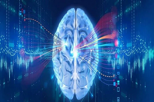 Công nghệ sẽ giúp não người trở nên bất tử (Ảnh Internet)