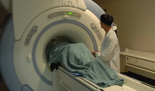 Ảnh minh họa (Flickr)