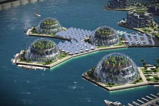 Mô hình dự án Đảo nổi ở Polysenia thuộc Pháp (Ảnh Seasteading Institute)