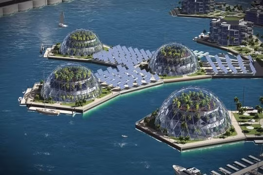 Mô hình dự án Đảo nổi ở Polysenia thuộc Pháp (Ảnh Seasteading Institute)