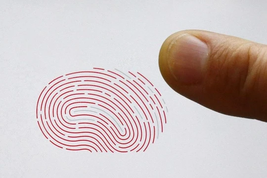 Một cảm biến vân tay mới có thể phát hiện được cả nhiệt độ của người dùng (Ảnh Reuters)