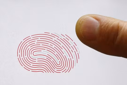 Một cảm biến vân tay mới có thể phát hiện được cả nhiệt độ của người dùng (Ảnh Reuters)