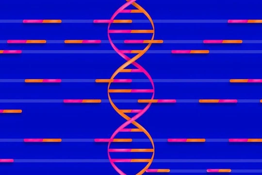 Ảnh minh họa (The Verge)