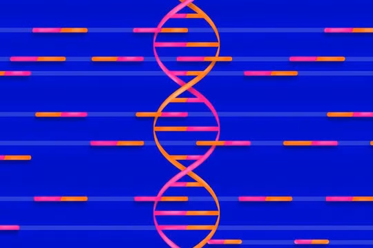 Ảnh minh họa (The Verge)