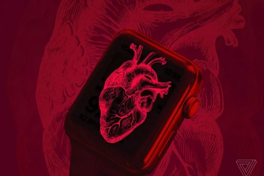 Ảnh minh họa (The Verge)