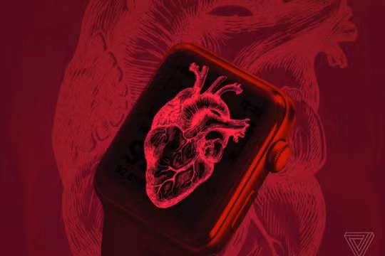 Ảnh minh họa (The Verge)