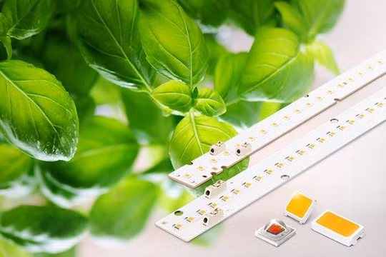 Samsung đã mở rộng các giải pháp linh kiện số của đèn LED với các sản phẩm chiếu sáng mới cho cây trồng (Ảnh Samsung Newsroom)