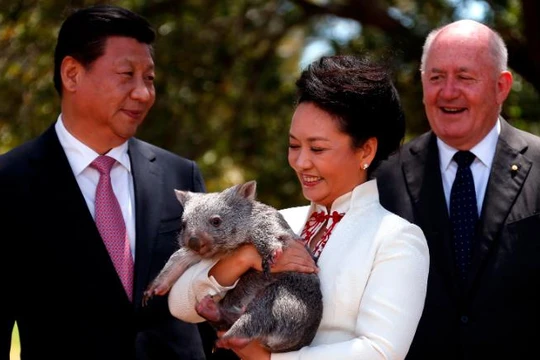Chủ tịch Trung Quốc Tập Cận Bình cùng phu nhân trong chuyến thăm Canberra ngày 17/11/2014 (Ảnh: CNN)