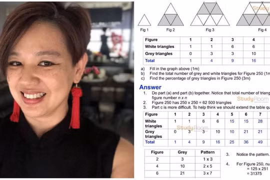 Bà Yeo và thông điệp mà bà gửi đi đang nhận được sự đồng cảm của nhiều phụ huynh ở Singapore (Ảnh: Yahoo News)