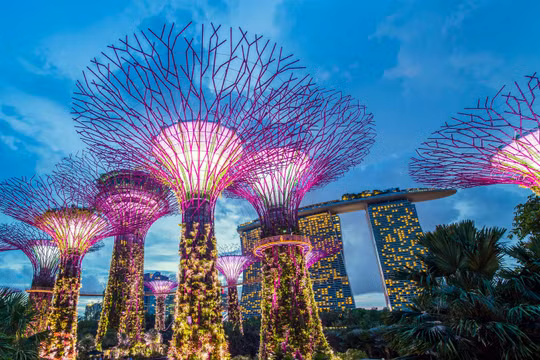 Công viên ở Singapore (ảnh: Getty)