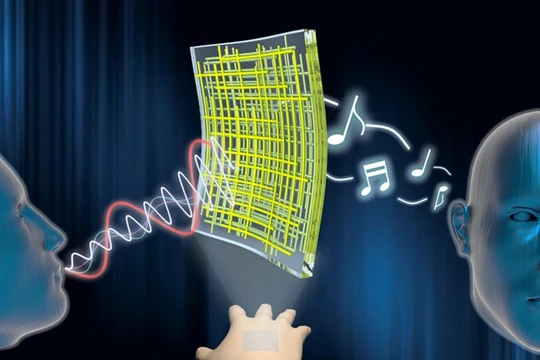 Bạn có tin rằng một chiếc loa có thể mỏng đến nỗi dán được vào da người? (ảnh: Viện Khoa học và Công nghệ Quốc gia Ulsan, Hàn Quốc)