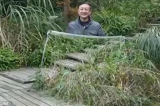 Ảnh cắt từ clip