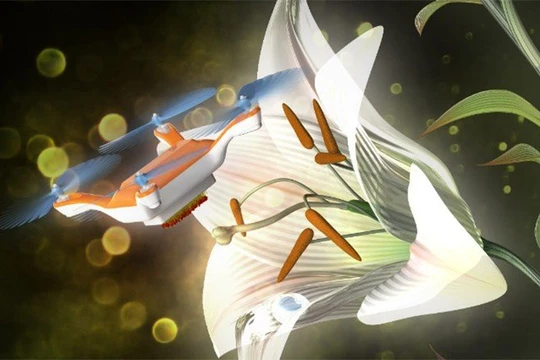 Dùng máy bay siêu nhỏ thụ phấn cho hoa