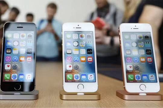 Ảnh minh họa (qz.com)