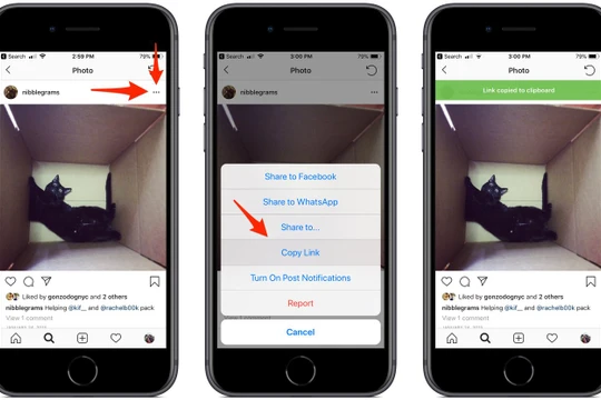 (ảnh minh họa: Business Insider)