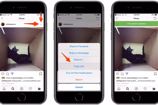 (ảnh minh họa: Business Insider)