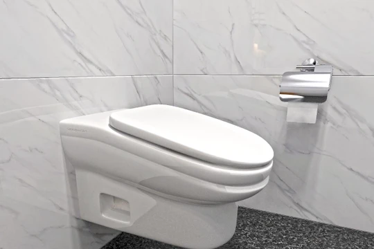 Chiếc bồn cầu StandardToilet