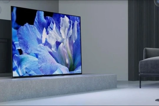 (ảnh minh họa: Internet)