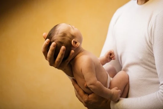 (ảnh minh họa: Internet)