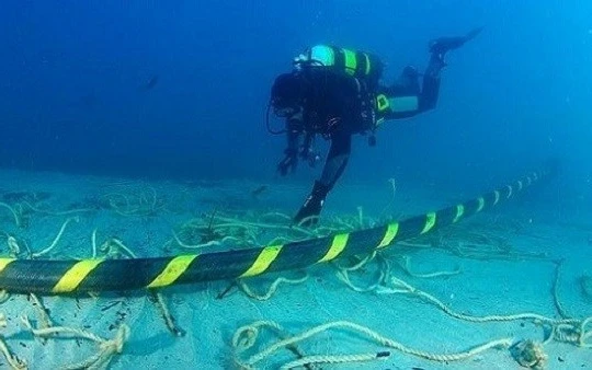 (Ảnh minh họa: Data Economy)