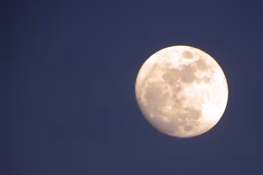 (ảnh minh họa: Raymond Shobe/Flickr)