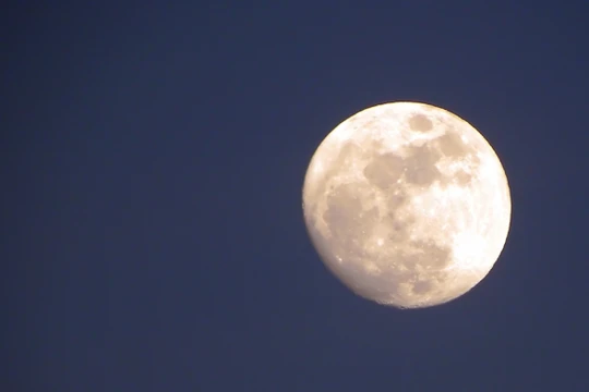 (ảnh minh họa: Raymond Shobe/Flickr)