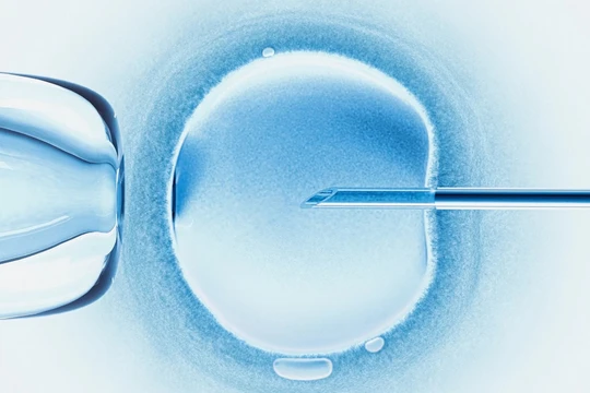 Chỉnh sửa gene có thể đem lại những hậu quả không lường trước được (ảnh: Getty Images)