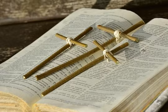 (ảnh minh họa: Pixabay)