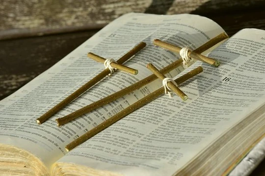 (ảnh minh họa: Pixabay)