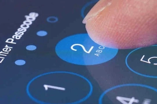 Ảnh minh hoạ: Internet