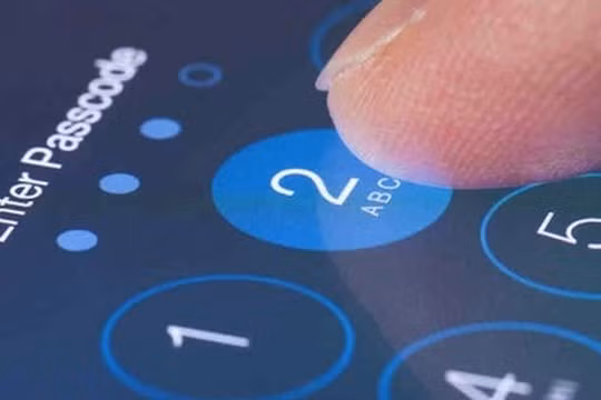 Ảnh minh hoạ: Internet