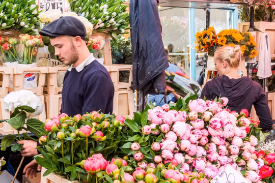 Hoa Tulip đã từng là mặt hàng được đầu cơ tại Hà Lan vào thế kỷ 16 (ảnh: Market Insider)