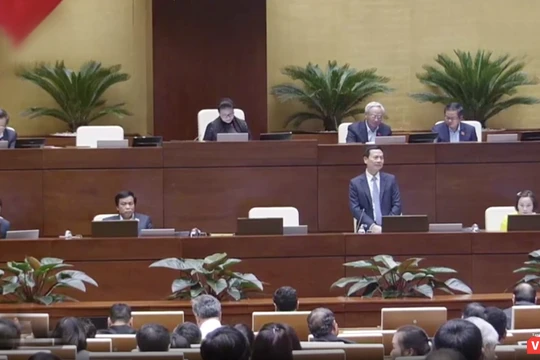 Facebook, Google theo yêu cầu của Việt Nam đã tiến hành chặn một số trang tin xấu độc, phá hoại nhà nước