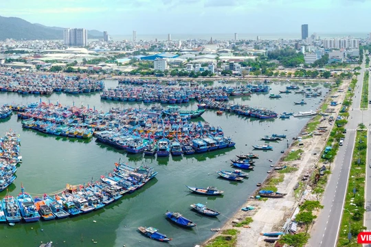 Một góc đô thị Đà Nẵng (ảnh Nguyễn Trình)