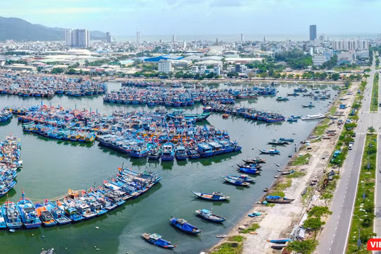 Một góc đô thị Đà Nẵng (ảnh Nguyễn Trình)